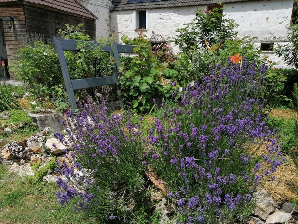 Hotellerie Jardiniers Gourmands Morsains Buitenkant foto
