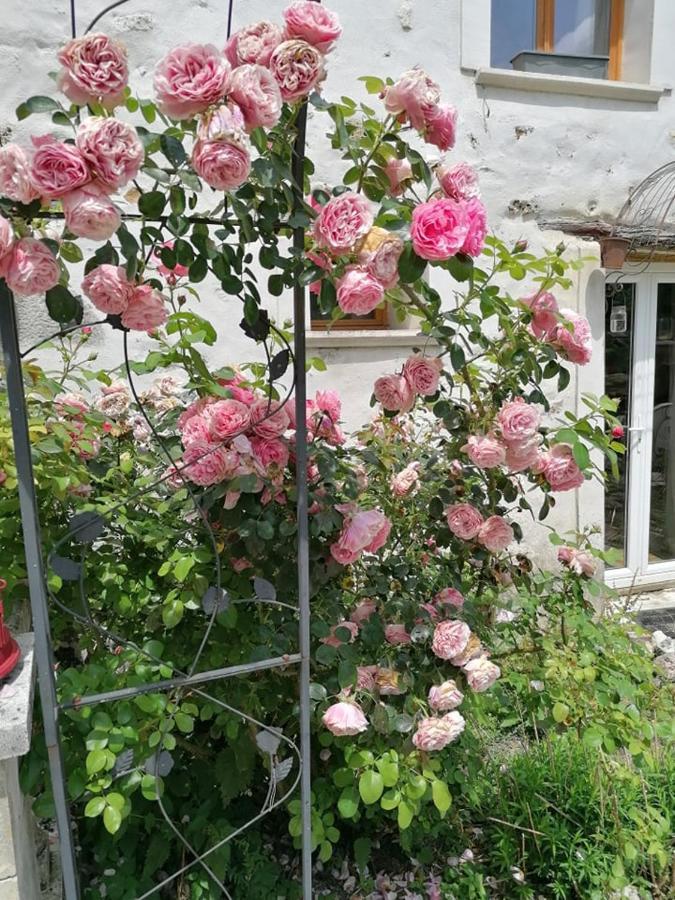 Hotellerie Jardiniers Gourmands Morsains Buitenkant foto