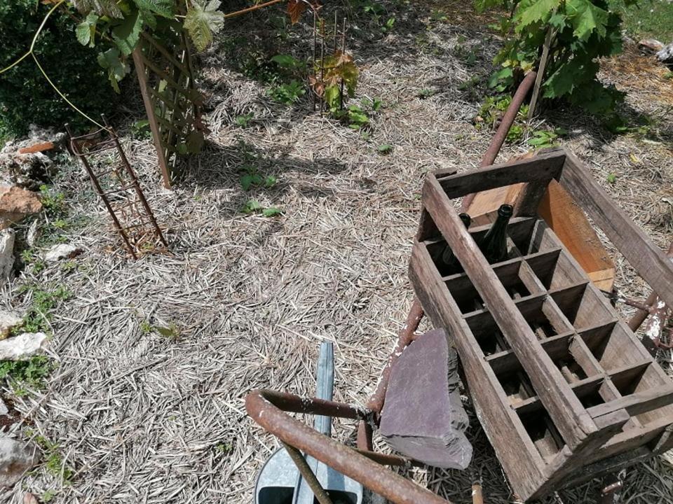 Hotellerie Jardiniers Gourmands Morsains Buitenkant foto